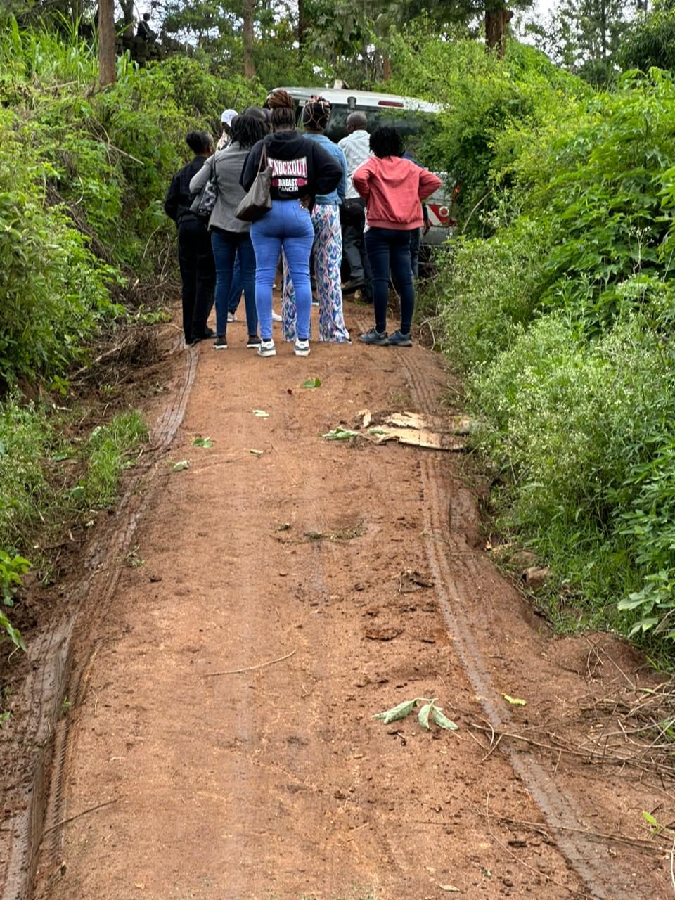 Placeholder photo: a team walking along a forest path on a field visit