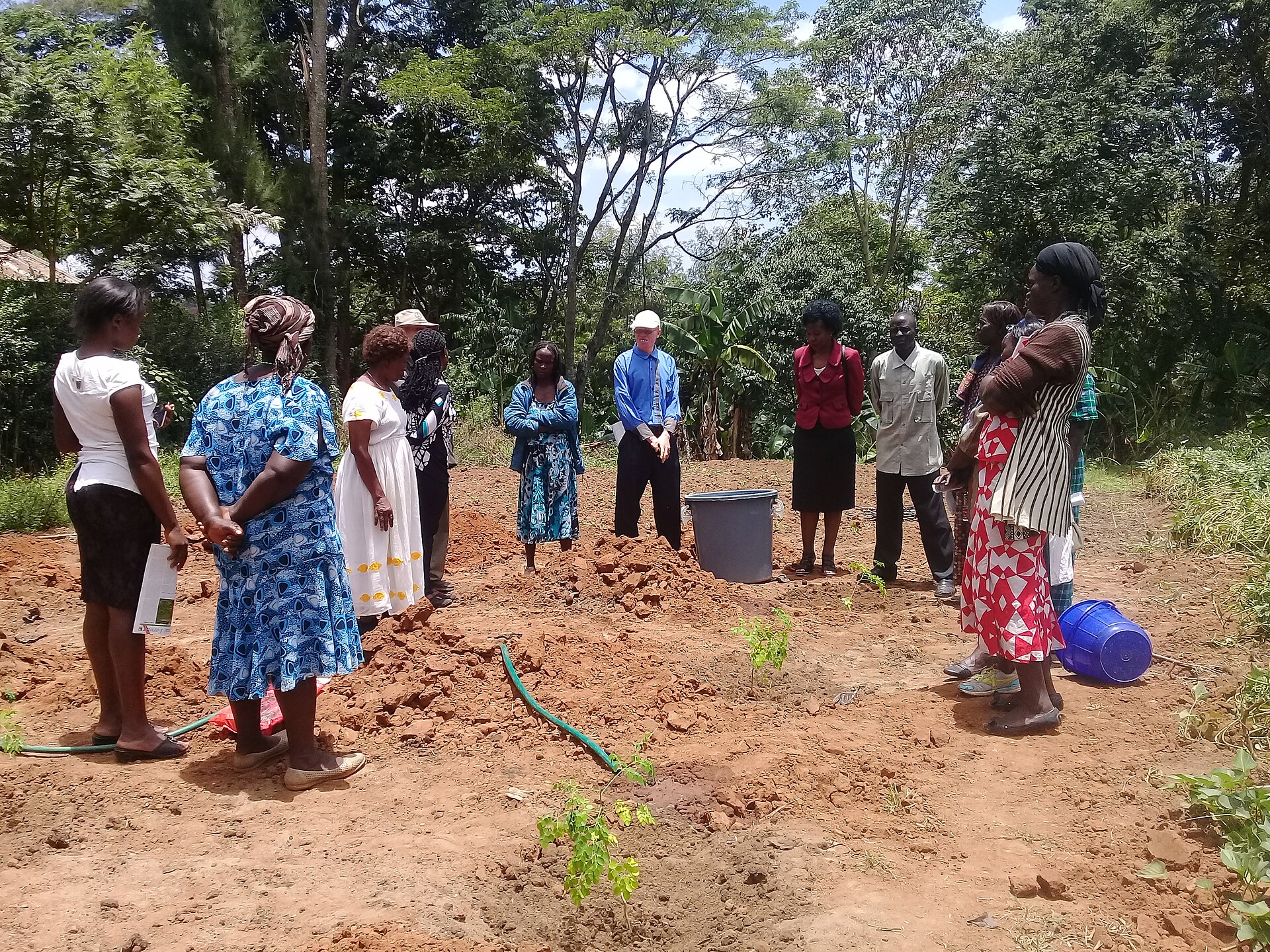 Placeholder photo: community members gathered to plant tree seedlings